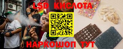 амф Донской