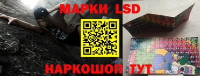 амф Донской