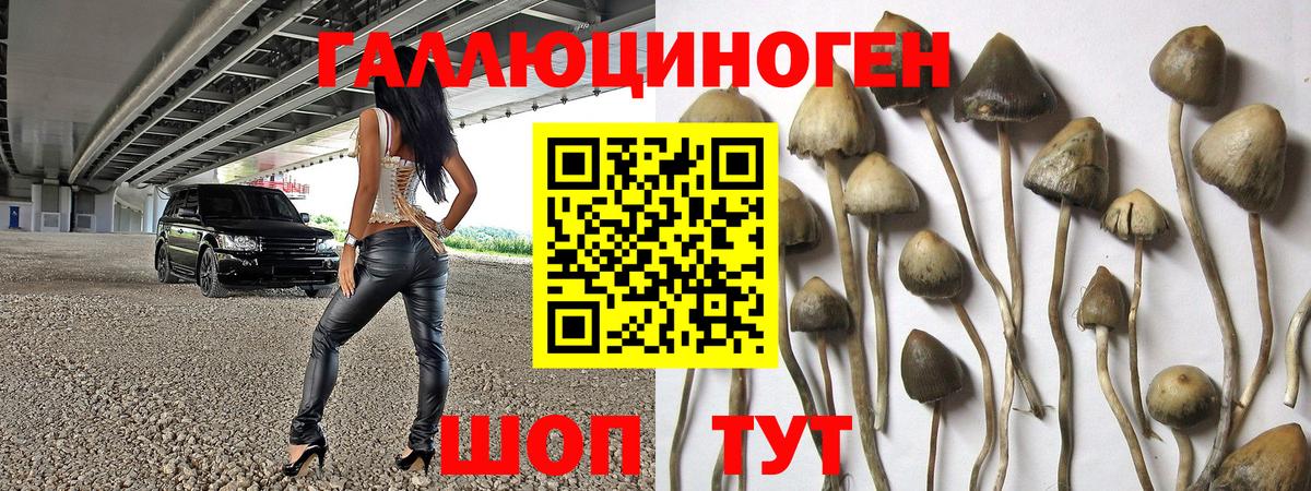 Галлюциногенные грибы Cubensis  Вход с VPN  Майкоп 